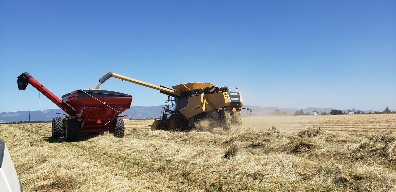seed grass ask questions combine facility cleaning