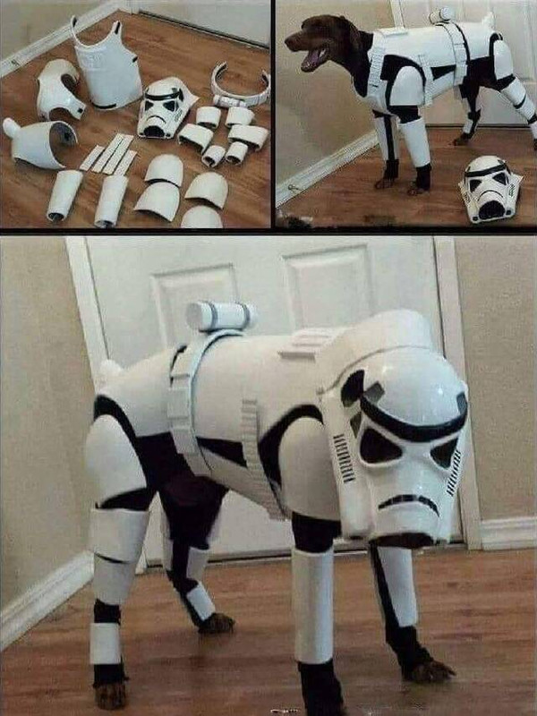 picdump-kw51-2021-084.jpg