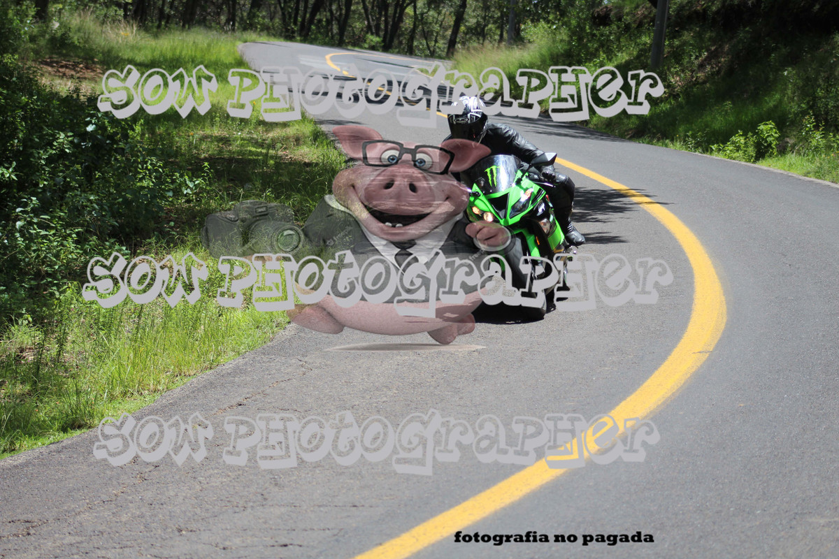IMG 8514 — Postimages