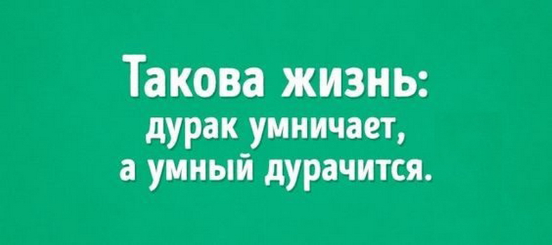 Любимый дурачок. Вокруг дураки. Как дураку объяснить что он дурак. Юмор про дураков картинки. Люблю дурака.
