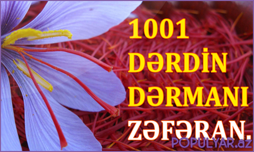 Min bir dərdin dərmanı zəfəran (video) Min bir dərdin dərmanı zəfəran (video)