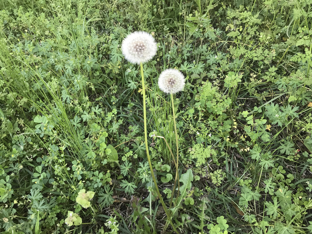 5C20BFA2-41C9-429D-868B-3C83162E41F7