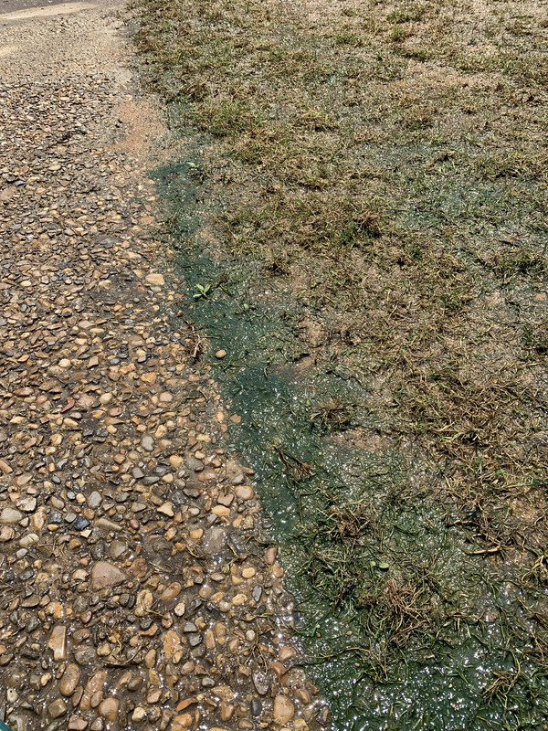 F66332E0-B270-4F7E-AA35-3DC73A6B5B5A