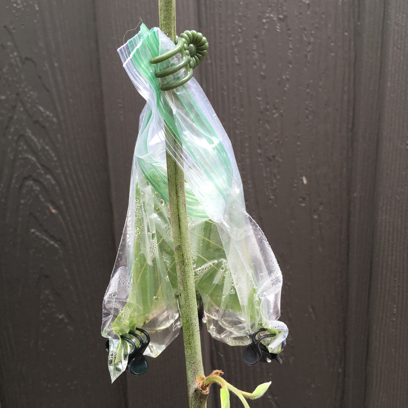 59410D8F-2401-48C8-B8FF-A4AAF168AB53