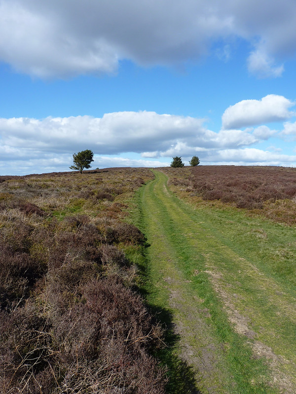 Portway, Jack Mytton Way, Shropshire Way - take your pick