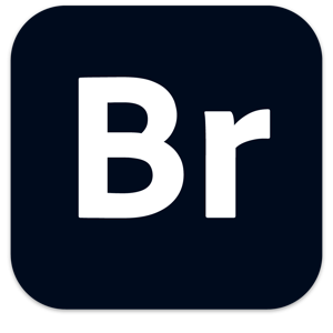 Adobe Bridge 2023 v13.0.1.583 64 Bit - ITA