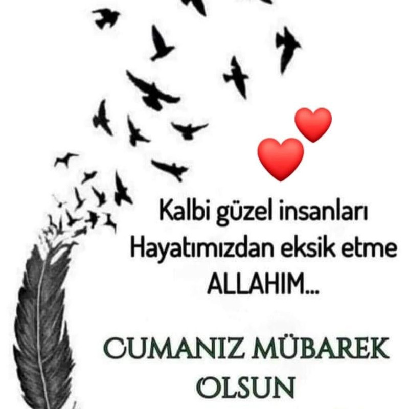 resim
