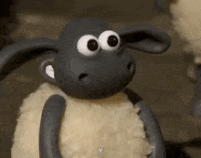 IMG-4212.gif