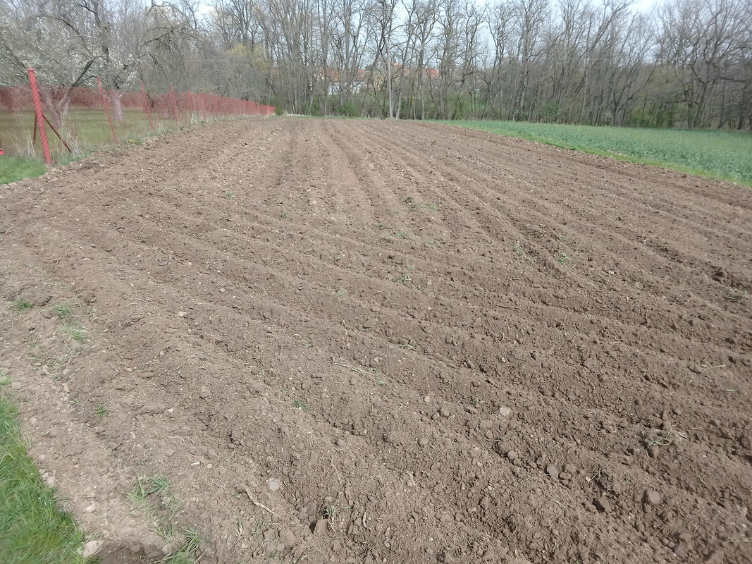 IMG_20240330_105621_MP