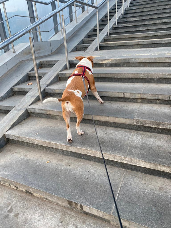 EC0104A4-BC74-46B8-BBD0-CB36C8CEB16A