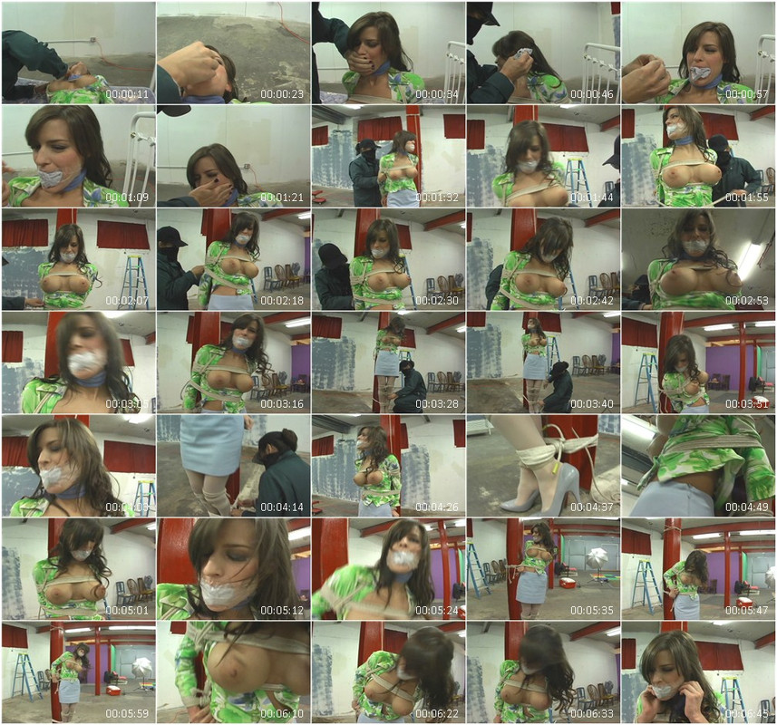 0858BD.wmv