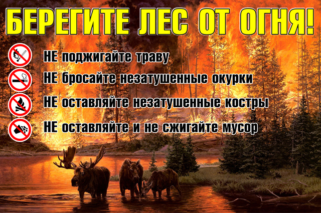 Берегите лес от огня