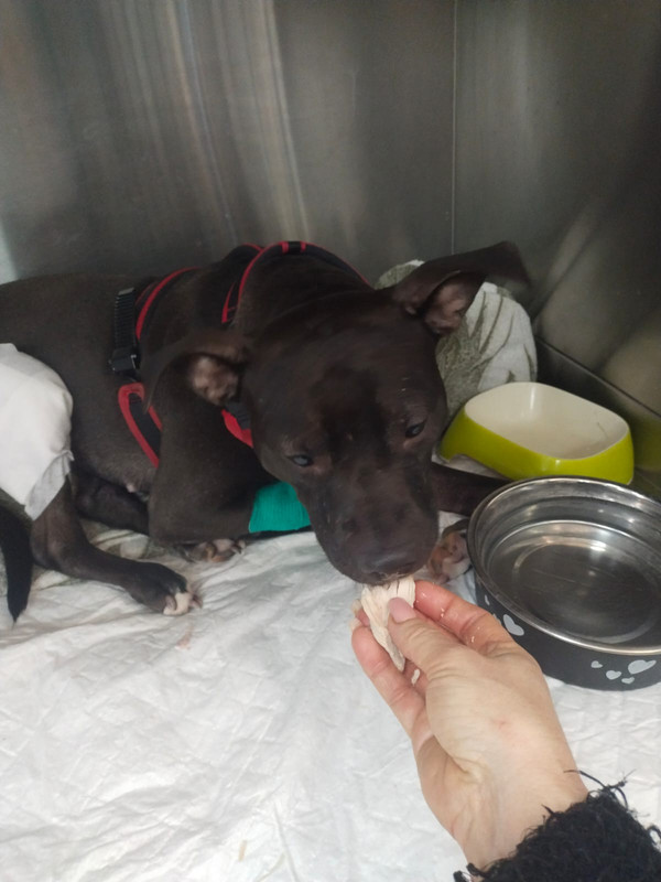 A79D0497-80F9-4FCD-951C-ECEEF169984B