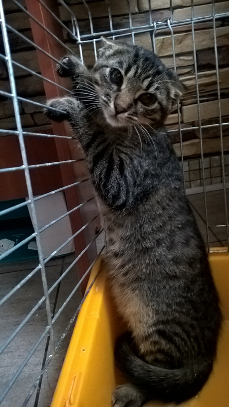 WP_20180908_09_39_31_Pro