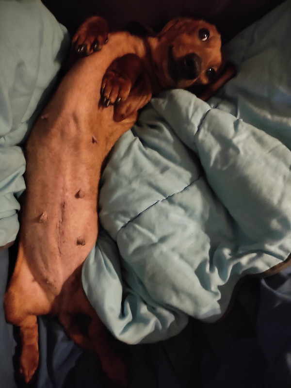 [Image: IMG-20240122-200111.jpg]