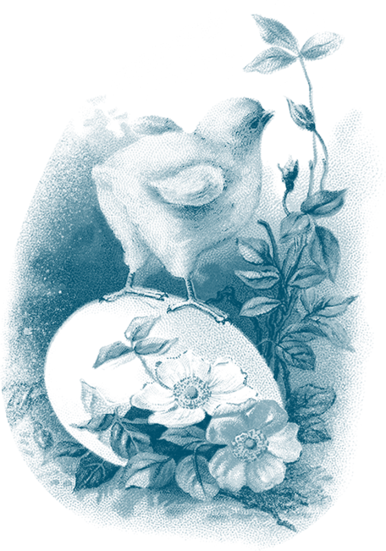 0_1c1794_b32f50e6_orig