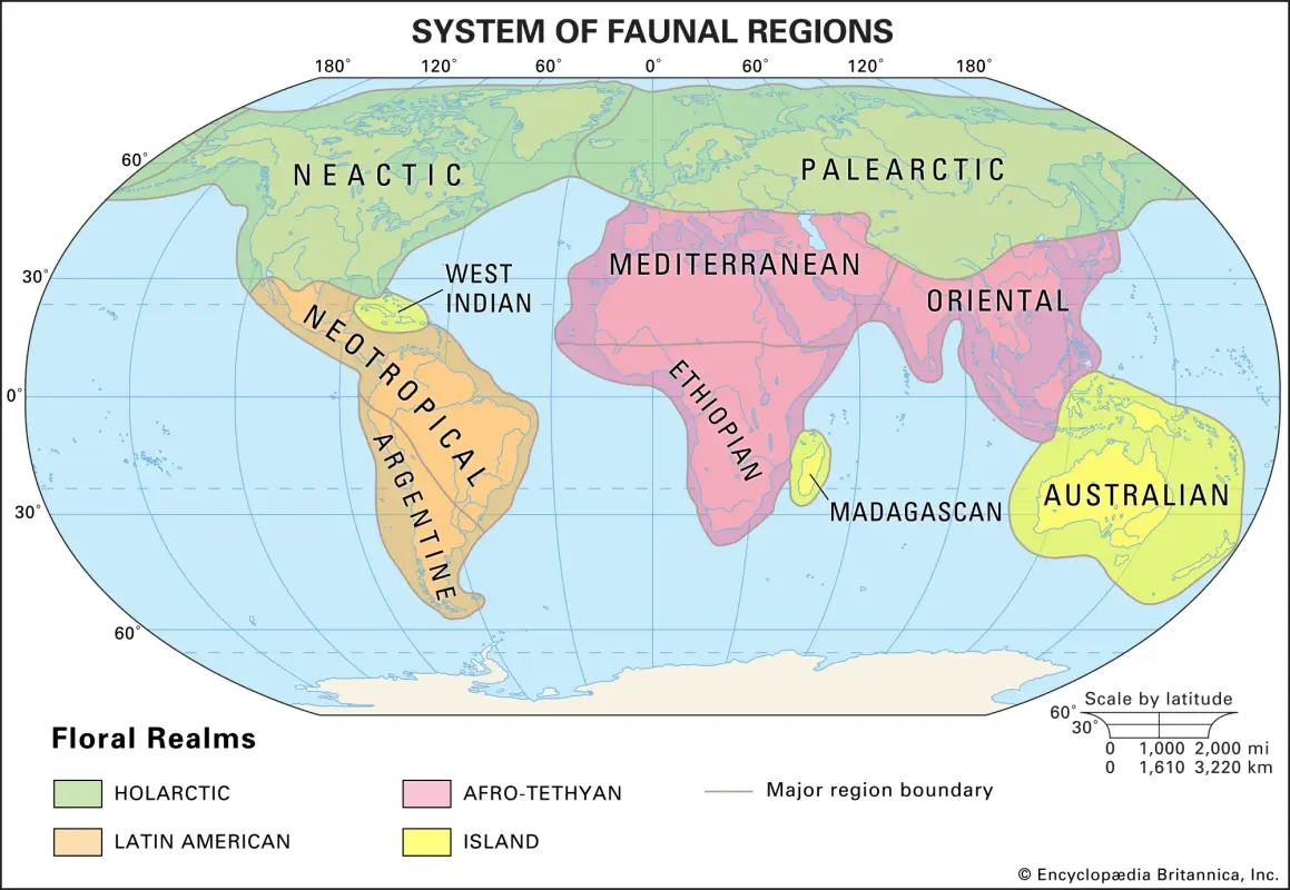 System-regions-reanalysis-distributions-