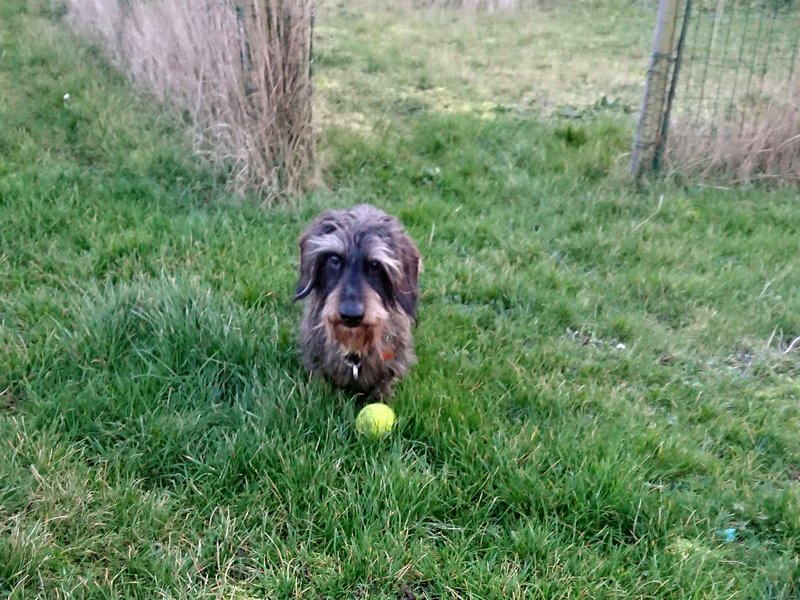 [Image: DSC-2408.jpg]