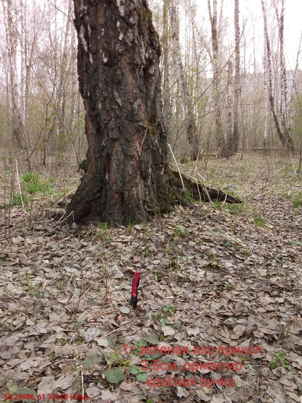 photo 55 2026 04 22 20 36 42