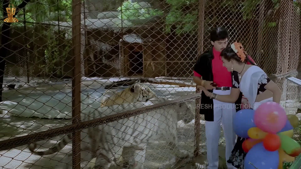 vlcsnap 2026 02 25 20h00m00s657