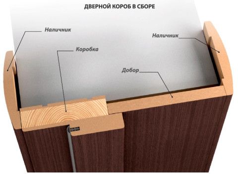 Стандартные размеры дверной коробки - Всё о межкомнатных и входных дверях ()