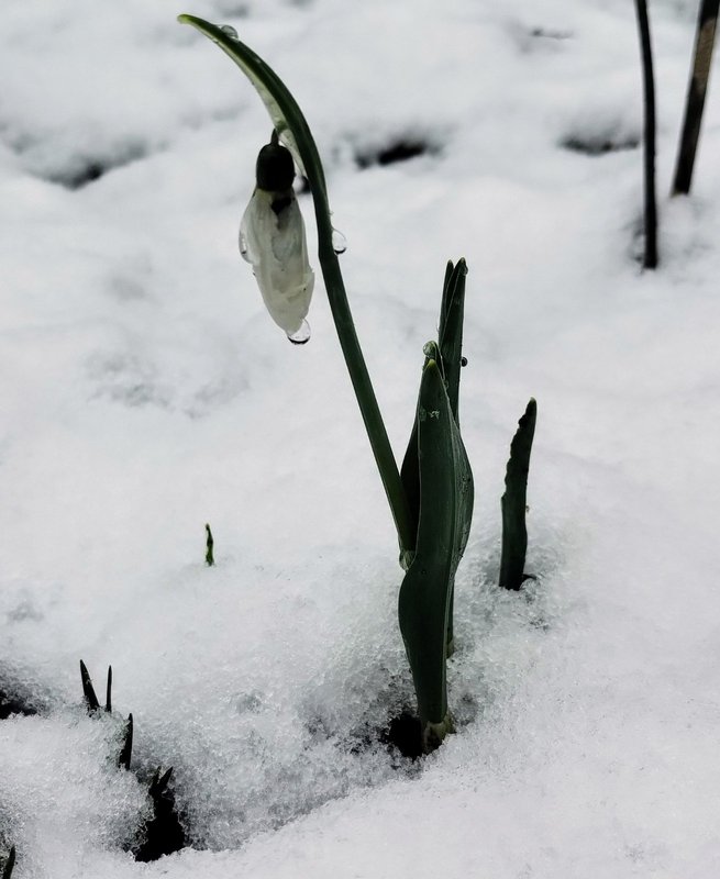 изображение_viber_2025-02-03_11-28-49-770