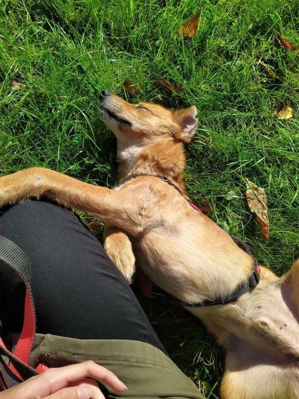 CE9BEDCB-4DEF-40B1-97F0-41B4CE6E10AC