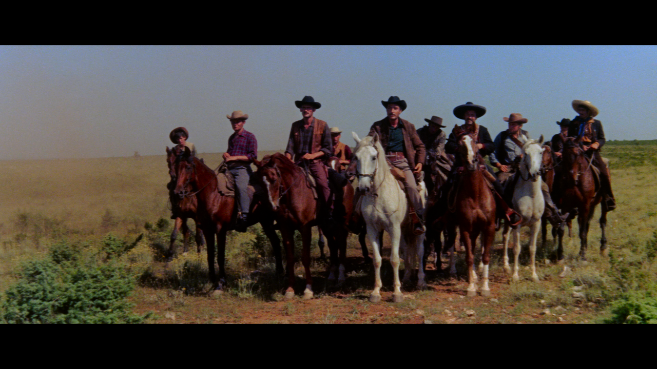 00003.mpls_snapshot_00.40.09_[2024.12.17_16.51.04]