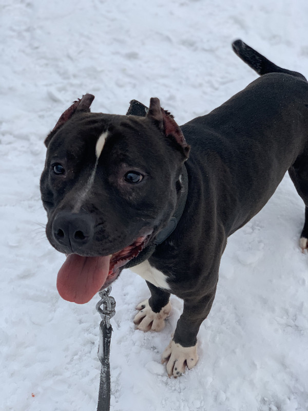 4274B7D8-0DB5-42F2-81C5-23C9B7B1C289