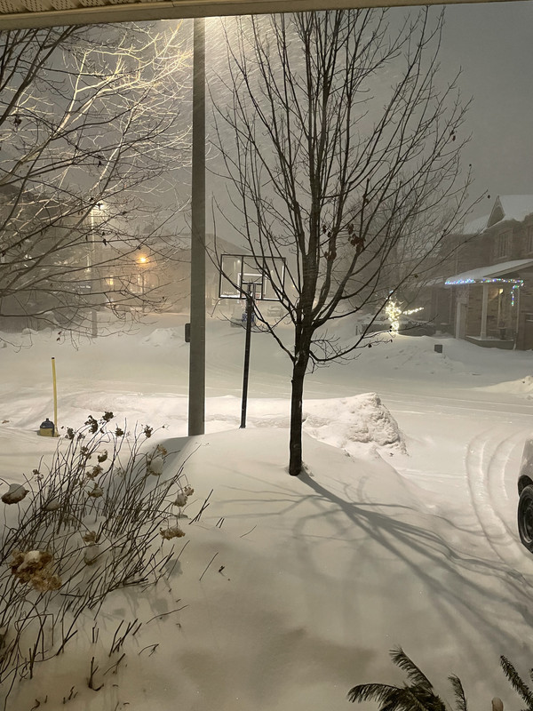 D15312FB-E9B5-47C9-A1C7-5DE4EAC3DFFE