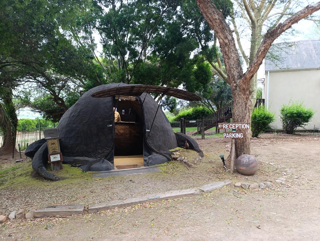 Такая близкая Африка. (ЮАР. 22 дня и 4200 км. Ноябрь-Декабрь)