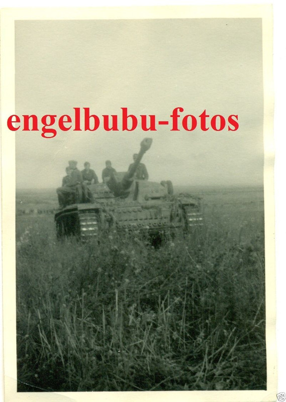 FOTO - PANZER - STURMGESCHÜTZ - TARNUNG - LANGRO