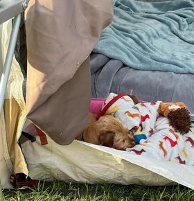 [Image: 360137888-1336792250257087-720927402030151371-n.jpg]