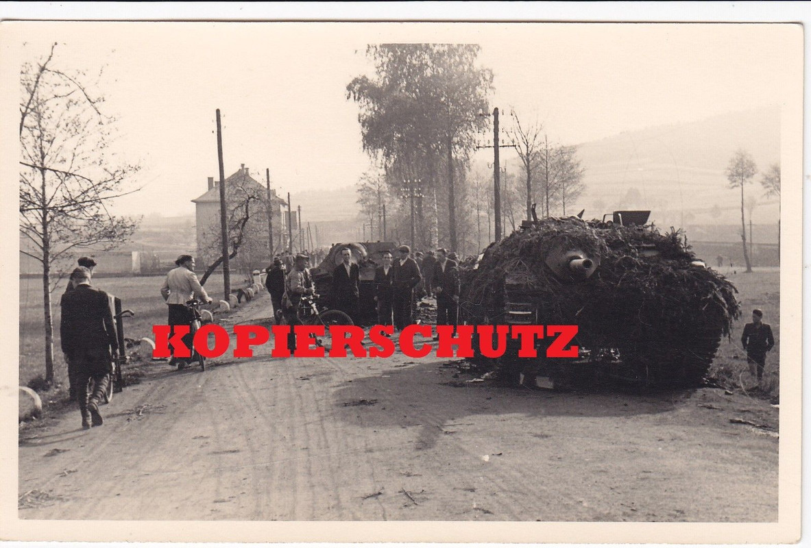 Jagdpanzer 38(t) Hetzer Sd,Kfz 138-2 Vormarsch P
