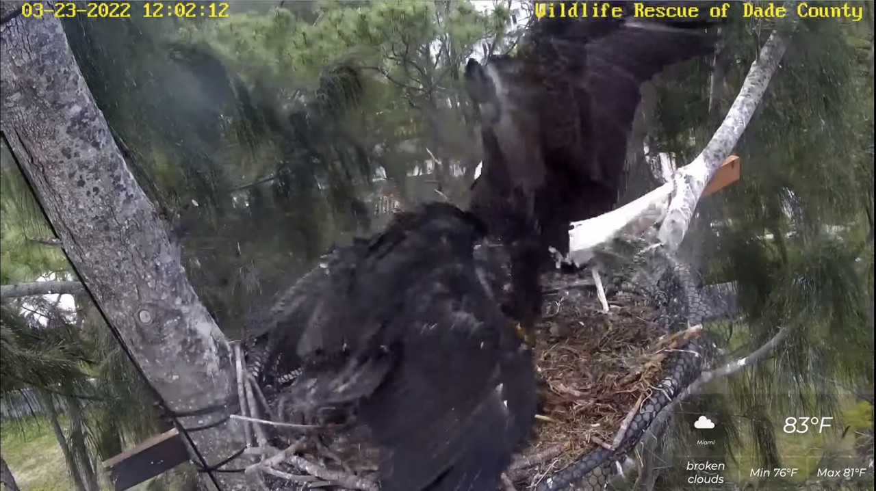 D844EB81-AF98-48B0-A913-B7D0A5FBB278