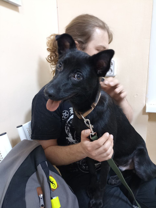 изображение_viber_2023-07-30_17-20-02-417