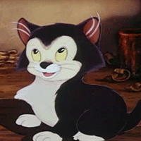 cool-for-cats-alt2.gif