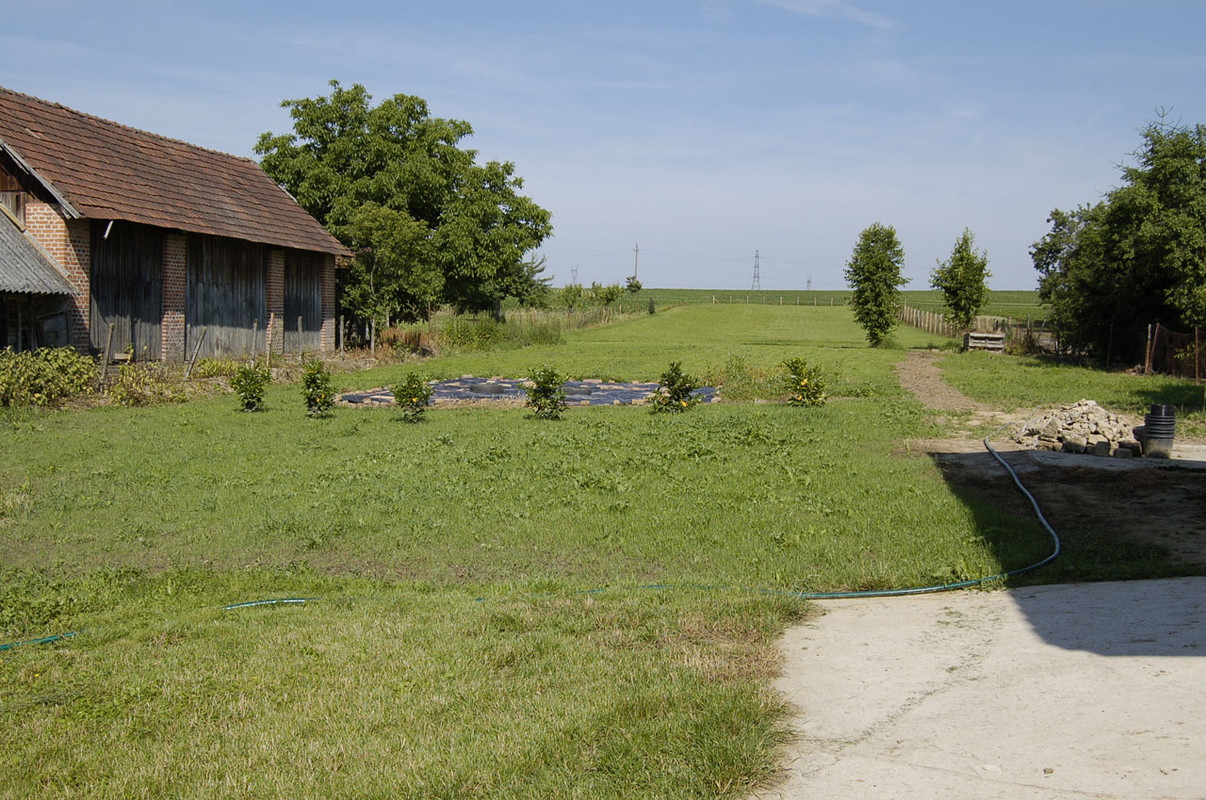 Gartenarbeiten Zwischenstand (9)