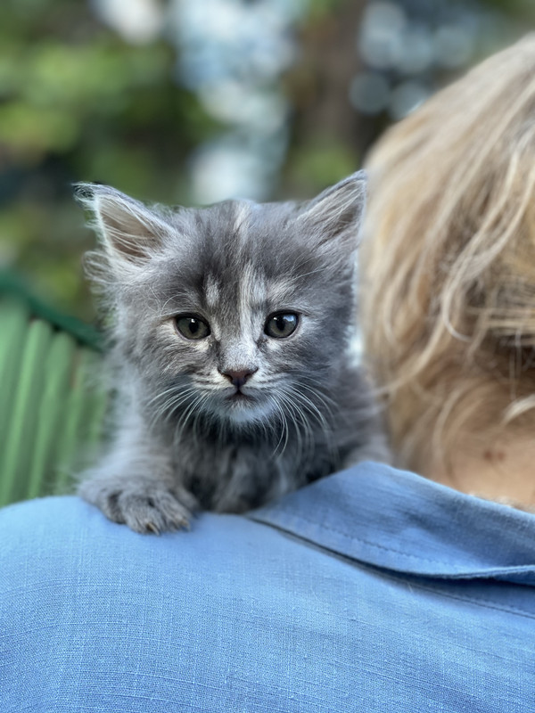 19AF9BD1-9A82-4FB0-8166-BDA08DE98B73