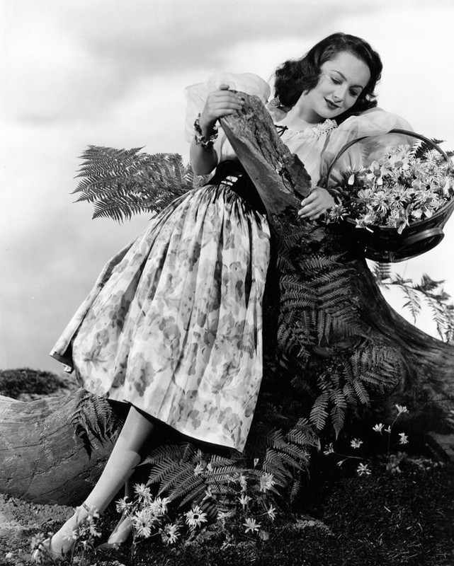 olivia_de_havilland_b99