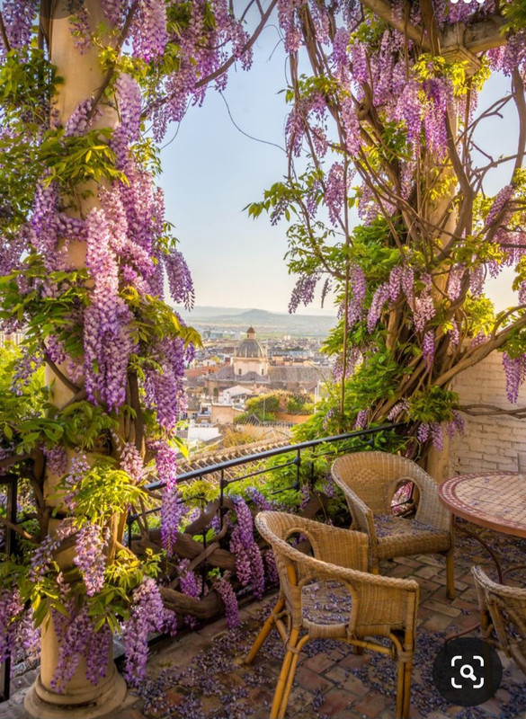 Screenshot_20231102_193358_Pinterest