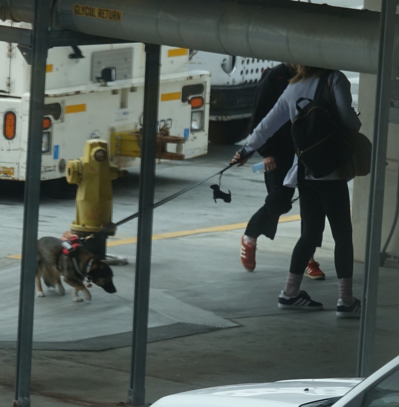 emmawatson-photogallery.blogspot.com (14)