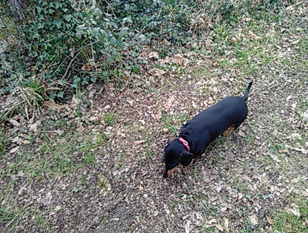 [Image: PANO-20220319-145624.jpg]