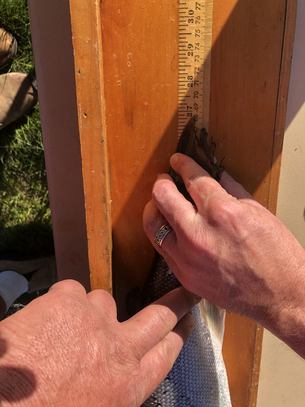 9D506043-9B72-4B1F-ACEE-CFB5F68ED87B