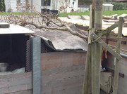 Erdproduktion und Zubereitung 2015  (110)