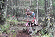 IMG-6194