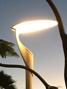 [Image: IMG-2572.jpg]