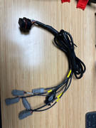 C127harness