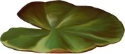 0-1c0c9a-5f9dc4e6-orig