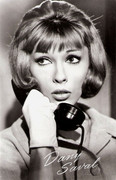 dany-saval-b17